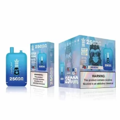 Großhandel Bang King 25000 Puffs Dual Pods Einweg Vape blau Razz Eis