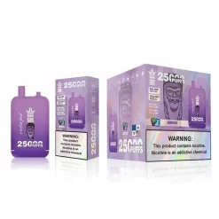 Großhandel Bang King 25000 Puffs Dual Pods Einweg Vape Grape Ice