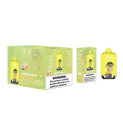 Großhandel Elf Box DG 12000 Puffs Einweg vape Kokosnuss Melone