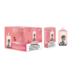 Großhandel Elf Box DG 12000 Puffs Einweg vape Strawberry Ice