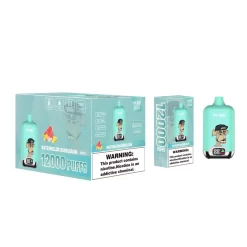 Großhandel Elf Box DG 12000 Puffs Einweg vape Wassermelone Bubblegum