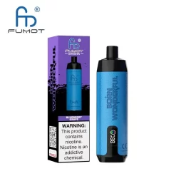 Wholesale Fumot Randm Shisha 10000 Puffs Sub Ohm DTL Disposable Vape Blueberry Grape