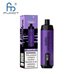 Wholesale Fumot Randm Shisha 10000 Puffs Sub Ohm DTL Disposable Vape Grape Ice