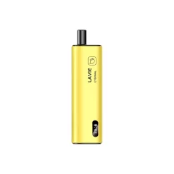 Großhandel Lavie Eternal 10000 Puffs Einweg Vape Mango Ice