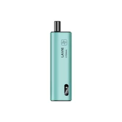 Großhandel Lavie Eternal 10000 Puffs Einweg Vape Minze Eis
