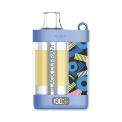 Wholesale LAVIE VIGOR 15000 puffs Disposable vapes Black Currant