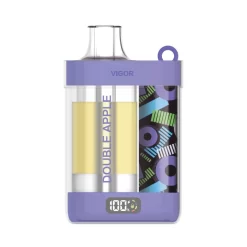 Wholesale LAVIE VIGOR 15000 puffs Disposable vapes Double Apple
