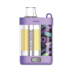 Wholesale LAVIE VIGOR 15000 puffs Disposable vapes Iced Grape