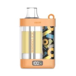 Wholesale LAVIE VIGOR 15000 puffs Disposable vapes Mango ICE