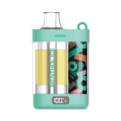 Wholesale LAVIE VIGOR 15000 puffs Disposable vapes Menthol Ice