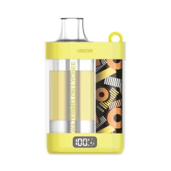 Wholesale LAVIE VIGOR 15000 puffs Disposable vapes Watermelon Lychee