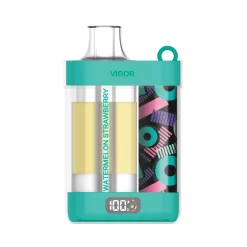 Wholesale LAVIE VIGOR 15000 puffs Disposable vapes Watermelon Strawberry