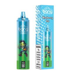 Wholesale Bang Blaze 20000 Puffs Disposable Vape Blueberry Ice