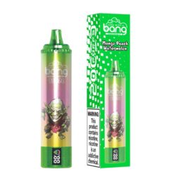 Wholesale Bang Blaze 20000 Puffs Disposable Vape Mango Peach Watermelon