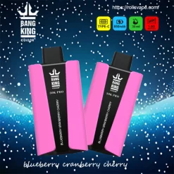 Wholesle Bang King 30K Pro 30000 Puffs Disposable vape 2