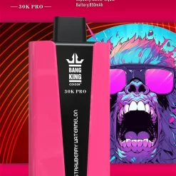 Wholesle Bang King 30K Pro 30000 Puffs Disposable vape 5