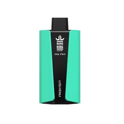 Wholesle Bang King 30K Pro 30000 Puffs Disposable vape Faesh Mint