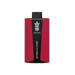 Wholesle Bang King 30K Pro 30000 Puffs Disposable vape Watermelon Cherry