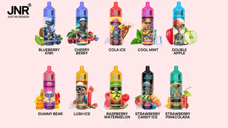 Großhandel JNR Alien 10000 Puffs Einweg Vape 13
