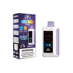 Großhandel Herr Nic Nizza 45000 Puffs Einweg Vape Grape Ice