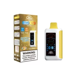 Großhandel Herr Nic Nizza 45000 Puffs Einweg Vape Saft Pfirsich