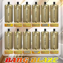 Wholesale Bang Blaze Shisha 42000 Puffs Vape descartável 2
