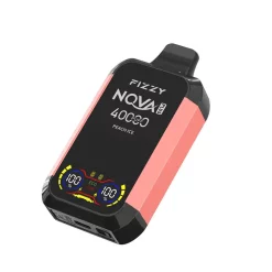 Europe Warehouse Wholesale Fizzy Nova Plus 40000 Puffs Disposable Vape Peach Ice