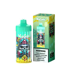 Sale Vapsolo King Pro 65K Disposable Vape España Warehouse 2