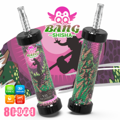 Wholesale Bang Shisha 80000 Puffs Disposable Vape 5