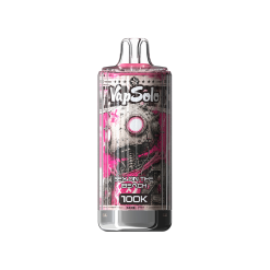 Wholesale Top Brand Vapsolo 100K Puffs Disposable Vape 1