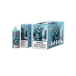 Wholesale Top Brand Vapsolo 100K Puffs Disposable Vape 10