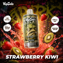 Wholesale Top Brand Vapsolo 100K Puffs Disposable Vape 6