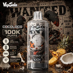 Wholesale Top Brand Vapsolo 100K Puffs Disposable Vape 7