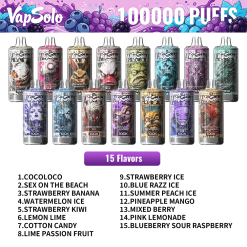 Wholesale Top Brand Vapsolo 100K Puffs Disposable Vape 9